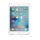 9H üvegfólia iPad mini 4/5 (2015/2019) 7.9"